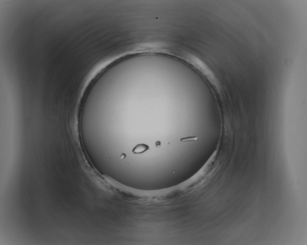 X0000112151336200908211406