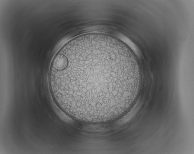 X0000112151338200908211406