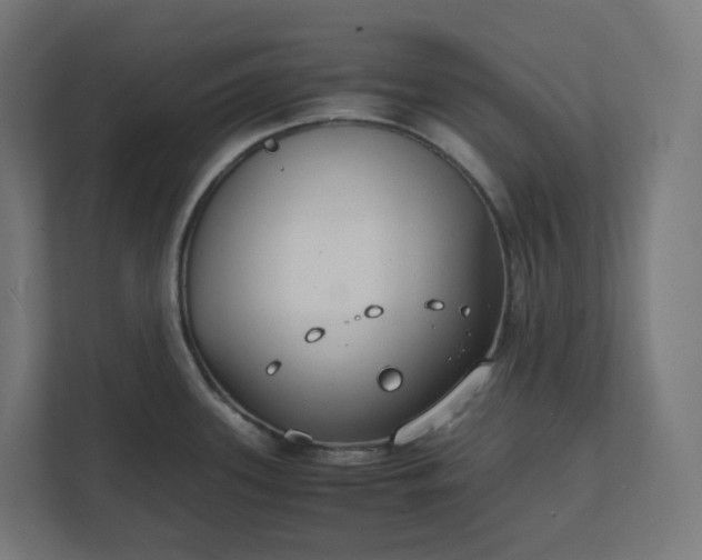 X0000112151339200908211406