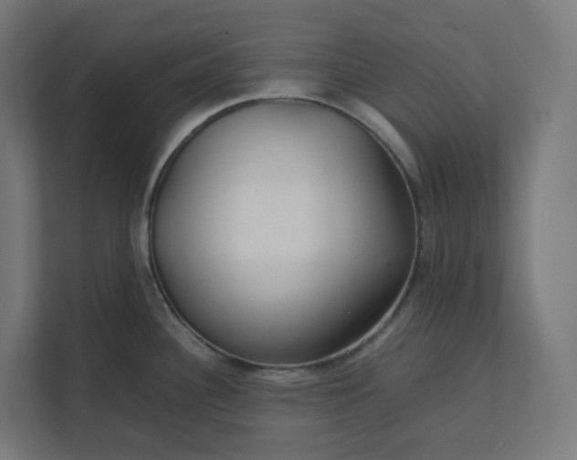 X0000112151340200908211406
