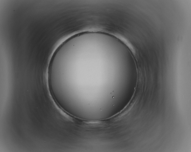 X0000112151343200908211406