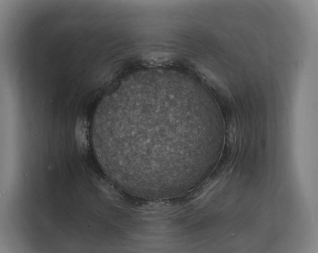 X0000112151346200908211405