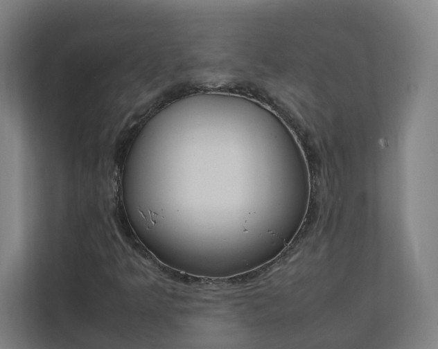 X0000112151349200908211405