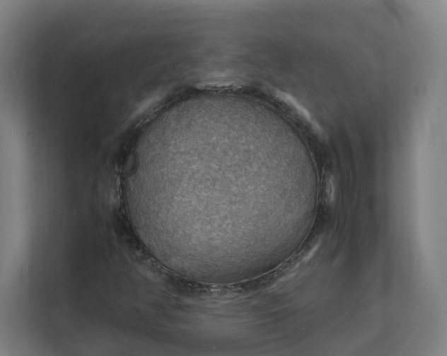 X0000112151350200908211405