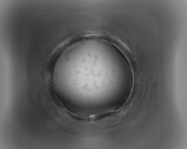 X0000112151351200908211405