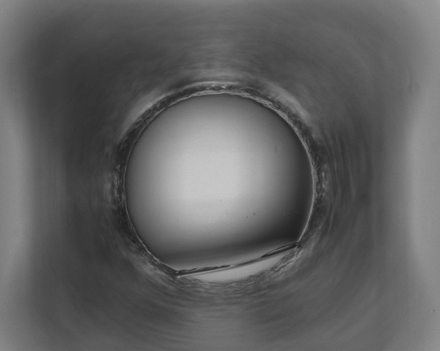 X0000112151352200908211405