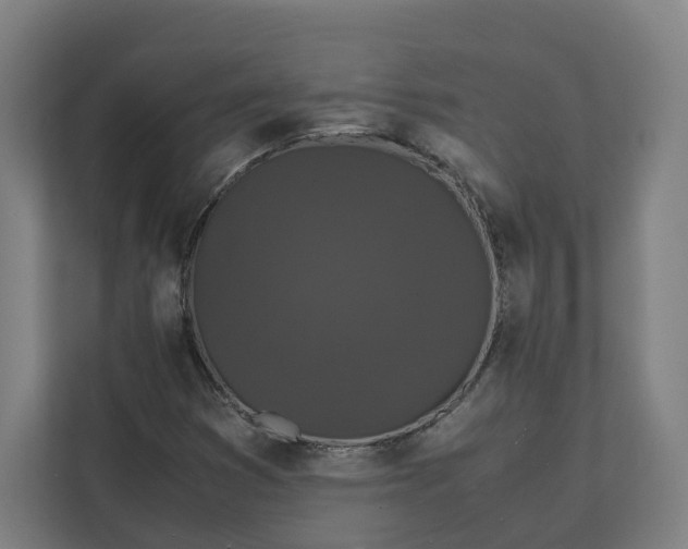 X0000112151353200908211405