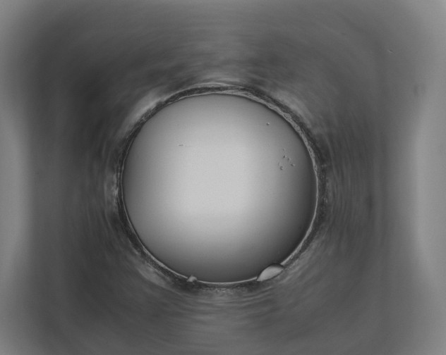 X0000112151355200908211405