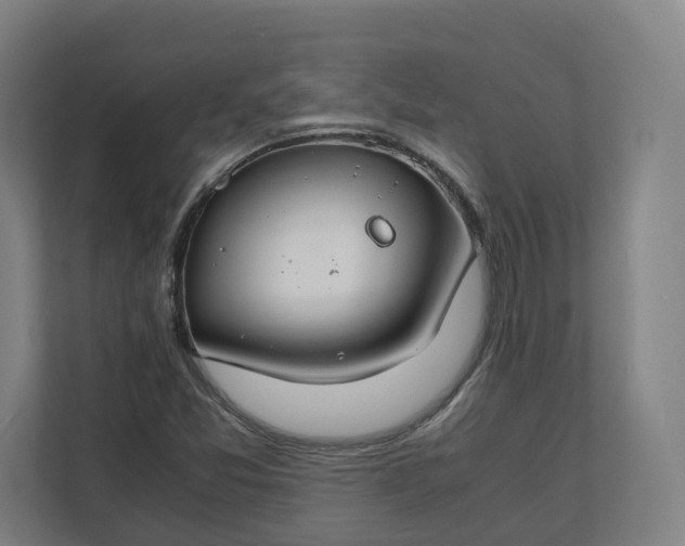 X0000112151357200908211405