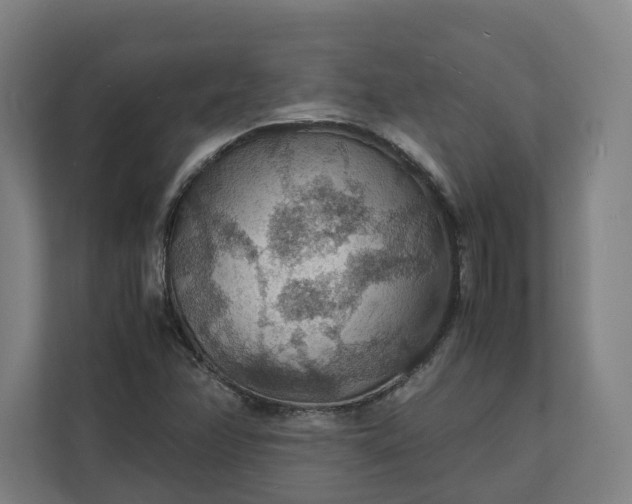 X0000112151358200908211405