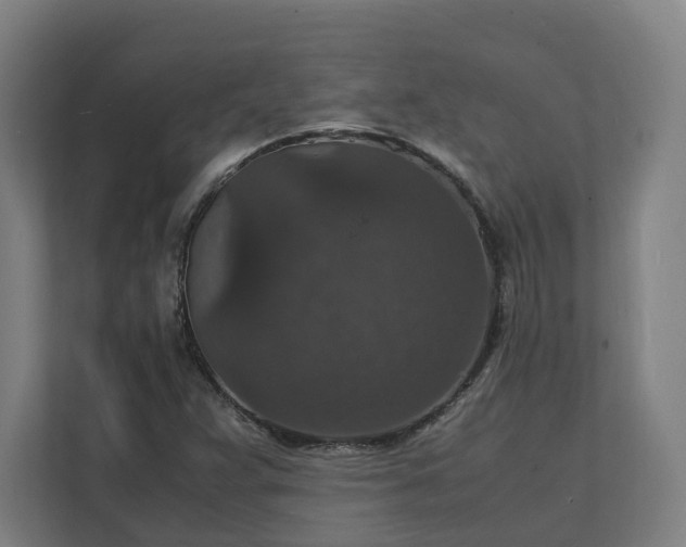 X0000112151359200908211405