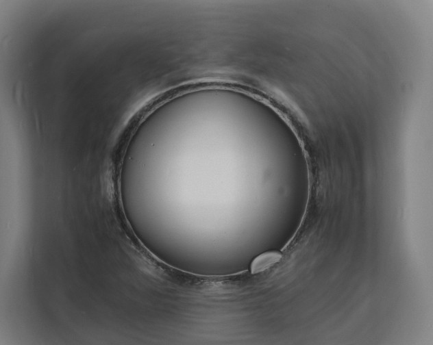 X0000112151360200908211405