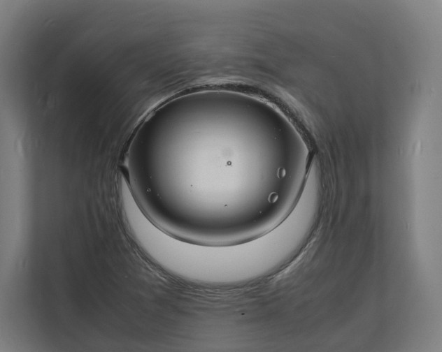 X0000112151361200908211405