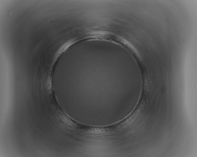 X0000112151362200908211405