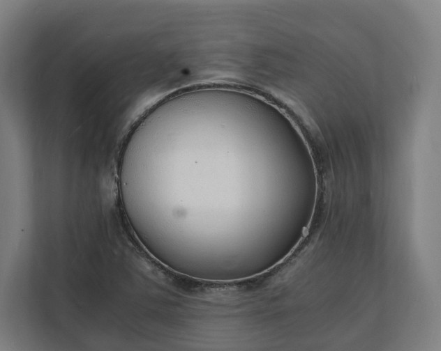 X0000112151363200908211405