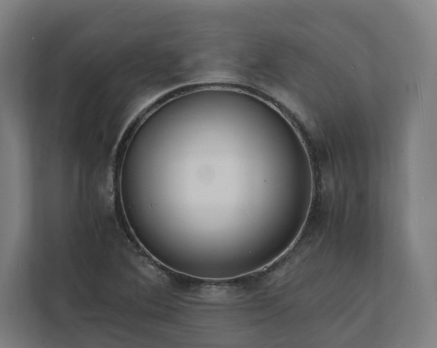 X0000112151364200908211405
