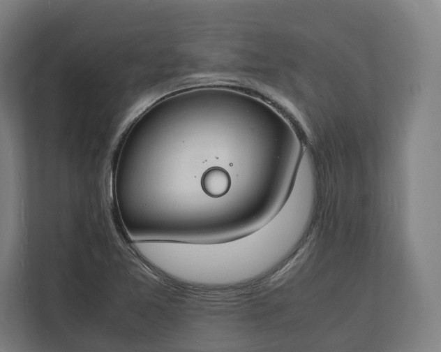 X0000112151365200908211405