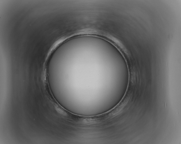 X0000112151366200908211405