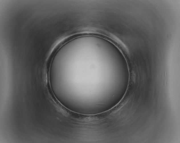 X0000112151368200908211405