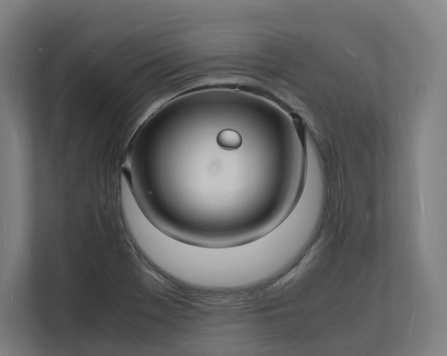 X0000112151369200908211405