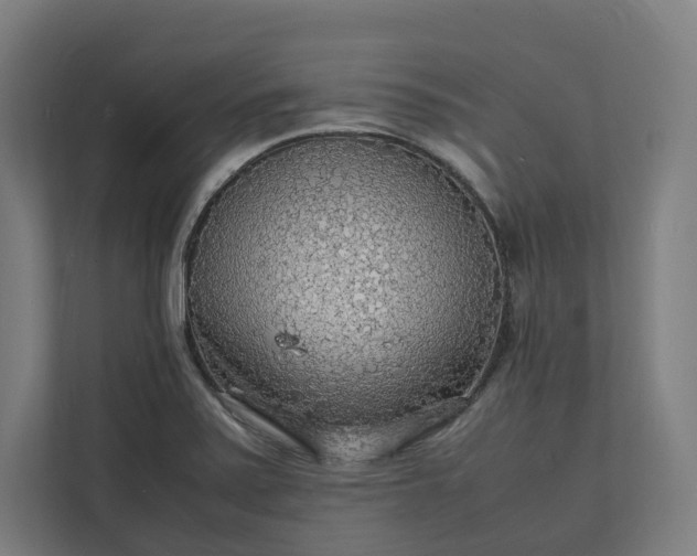 X0000112151371200908211405