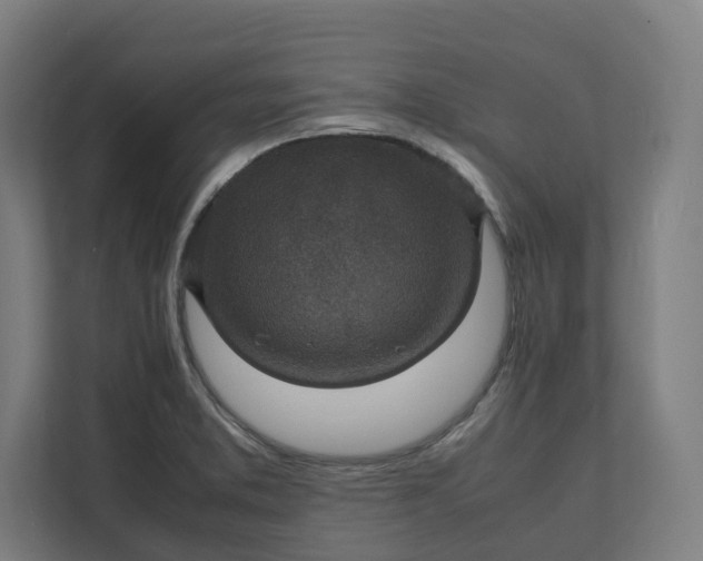 X0000112151373200908211405