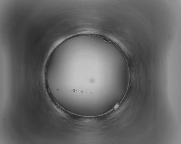 X0000112151375200908211405