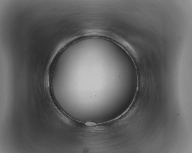 X0000112151376200908211405
