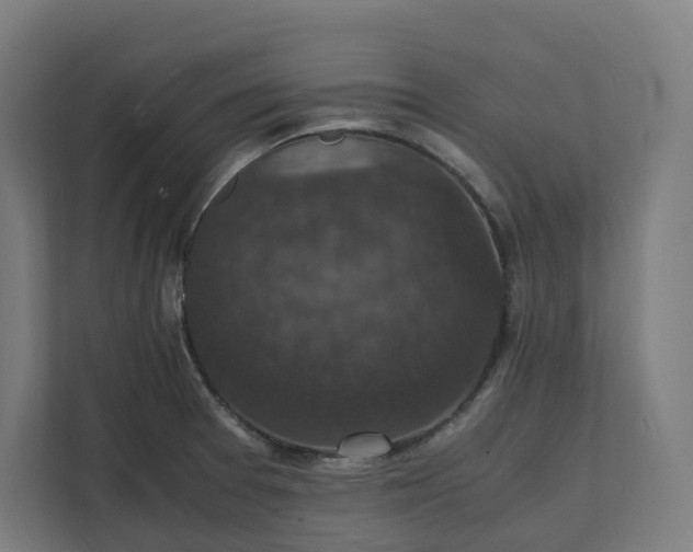 X0000112151377200908211405