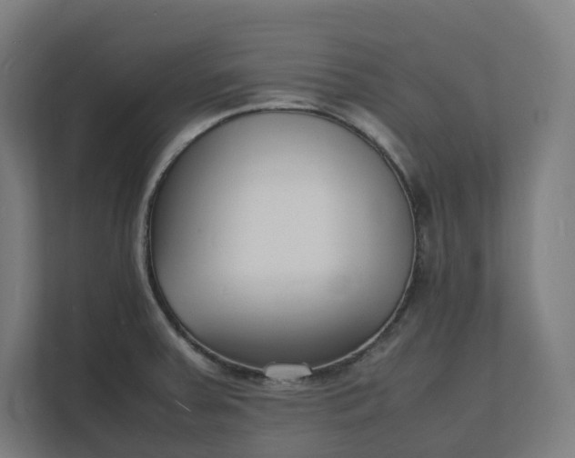 X0000112151379200908211405
