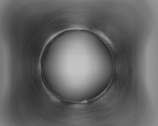 X0000112151380200908211405