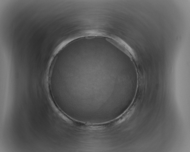 X0000112151381200908211405