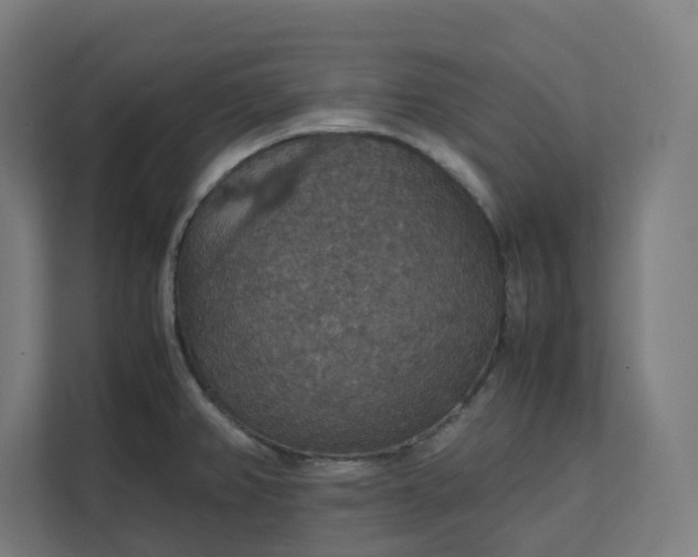 X0000112151382200908211405