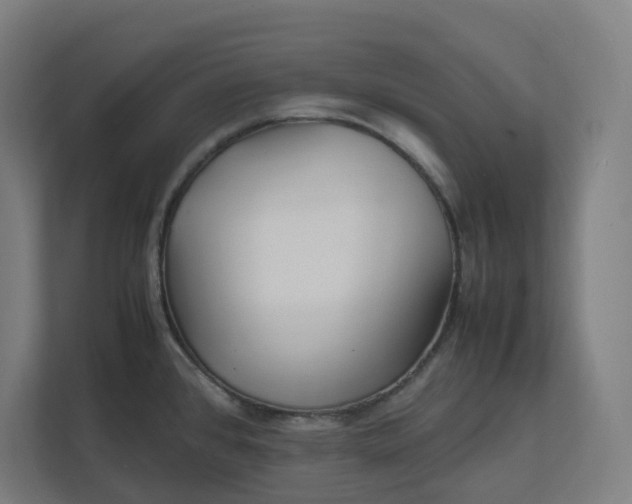 X0000112151384200908211405