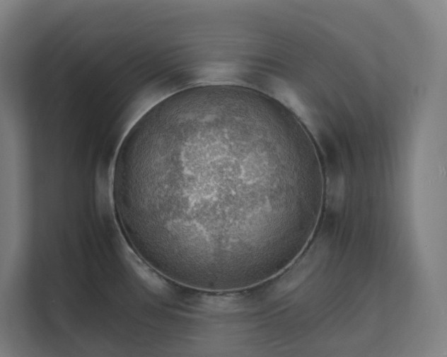 X0000112151386200908211405