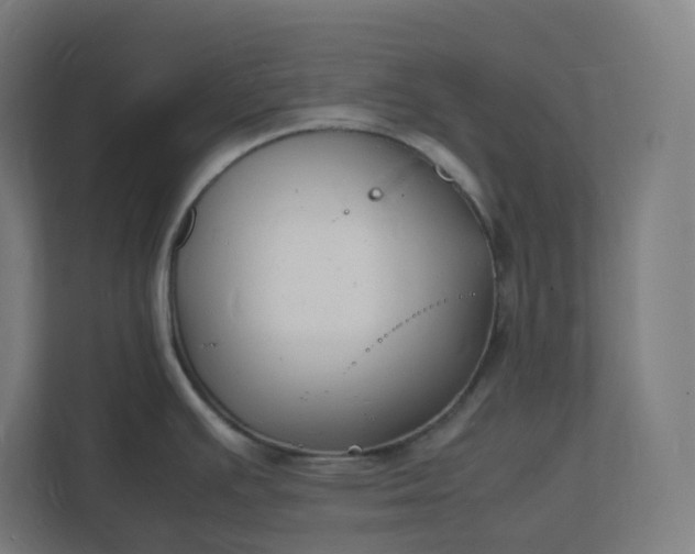 X0000112151391200908211405
