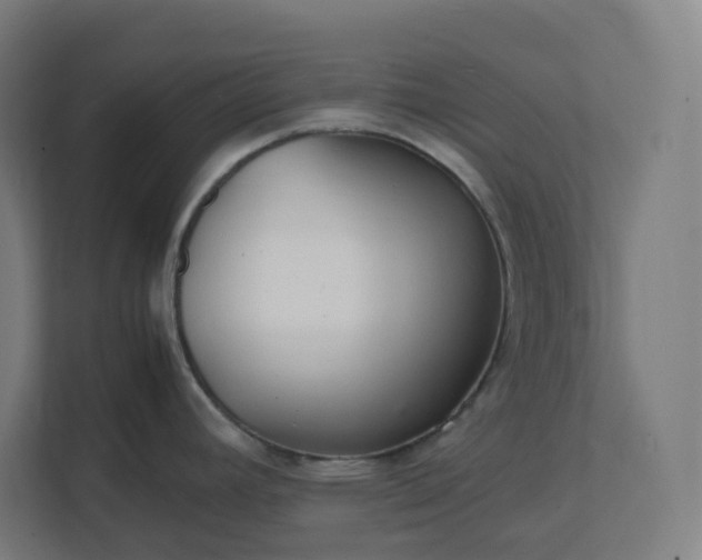 X0000112151392200908211405