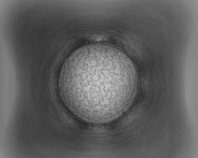 X0000112151393200908211404