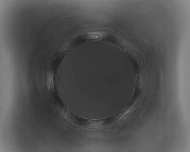 X0000112151394200908211404