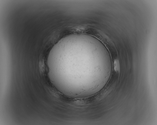 X0000112151395200908211404
