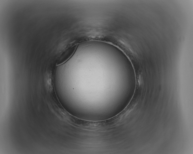 X0000112151396200908211404