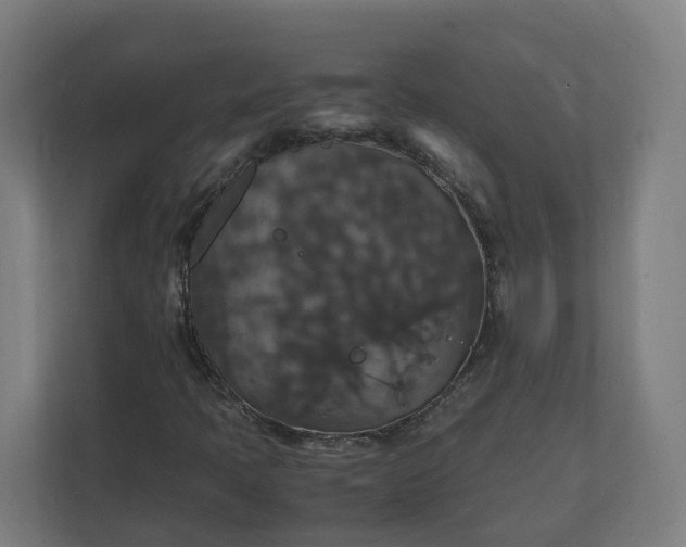 X0000112151397200908211404