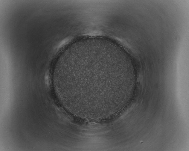X0000112151398200908211404