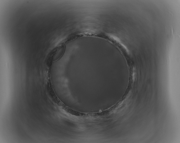 X0000112151399200908211404