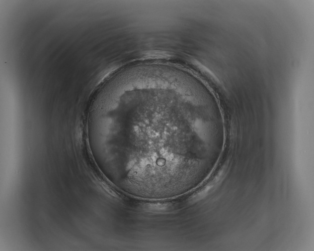 X0000112151401200908211404