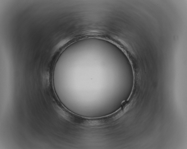 X0000112151402200908211404