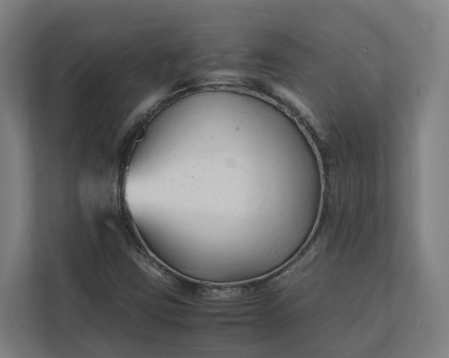 X0000112151403200908211404