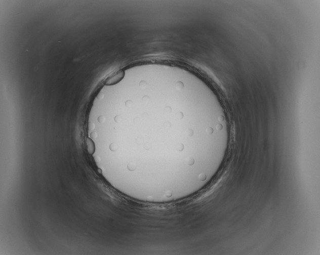 X0000112151405200908211404
