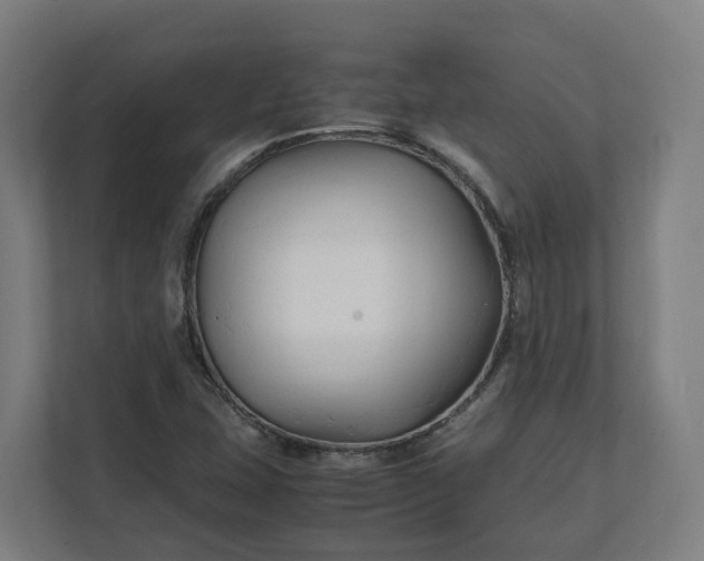 X0000112151407200908211404