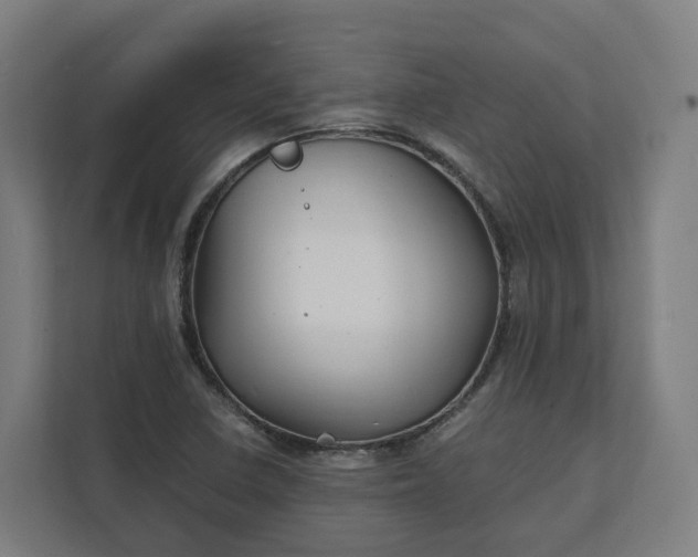 X0000112151410200908211404